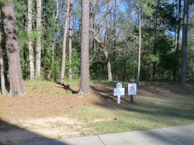 20 Independent Hill Lane - Photo 1