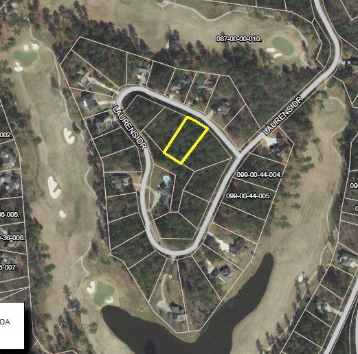 Lot 34 Laurens Drive - Photo 1