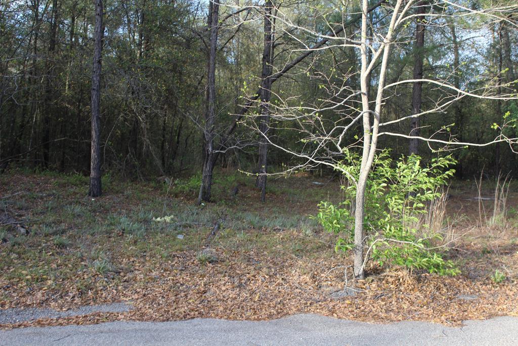 4311 Ascot Road - Photo 1