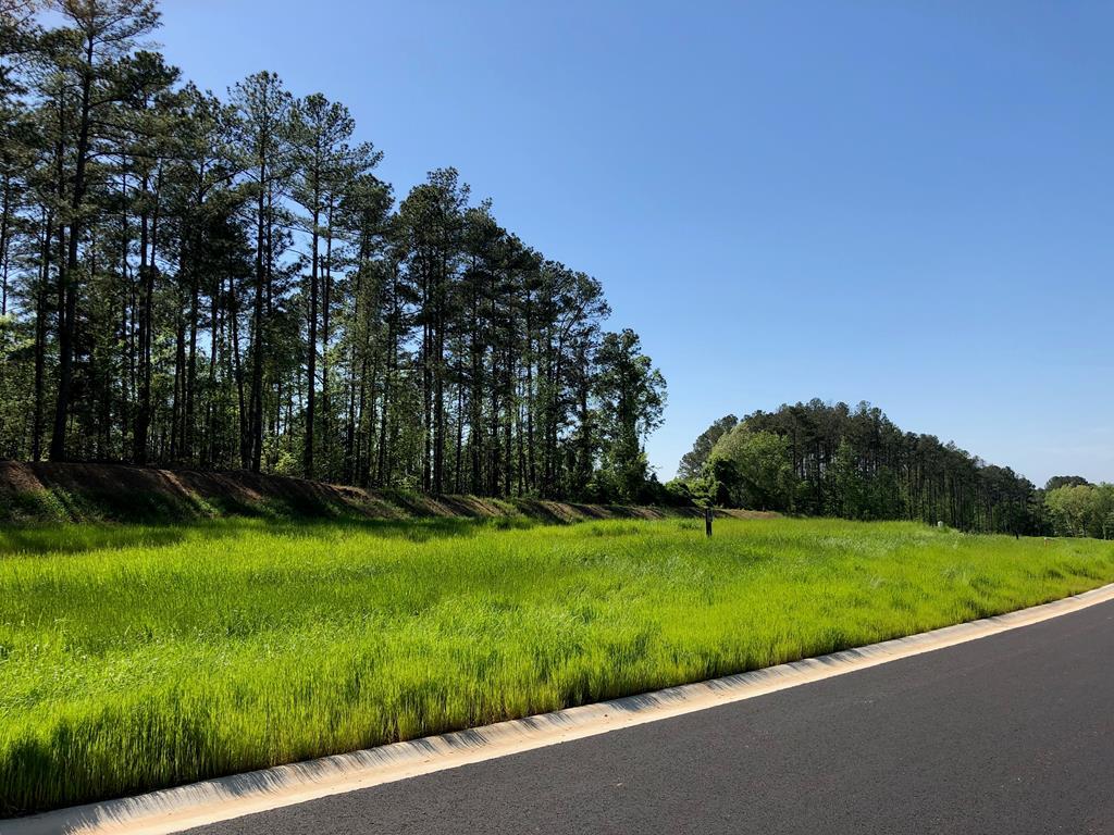 Lot 17 Campana Drive - Photo 1