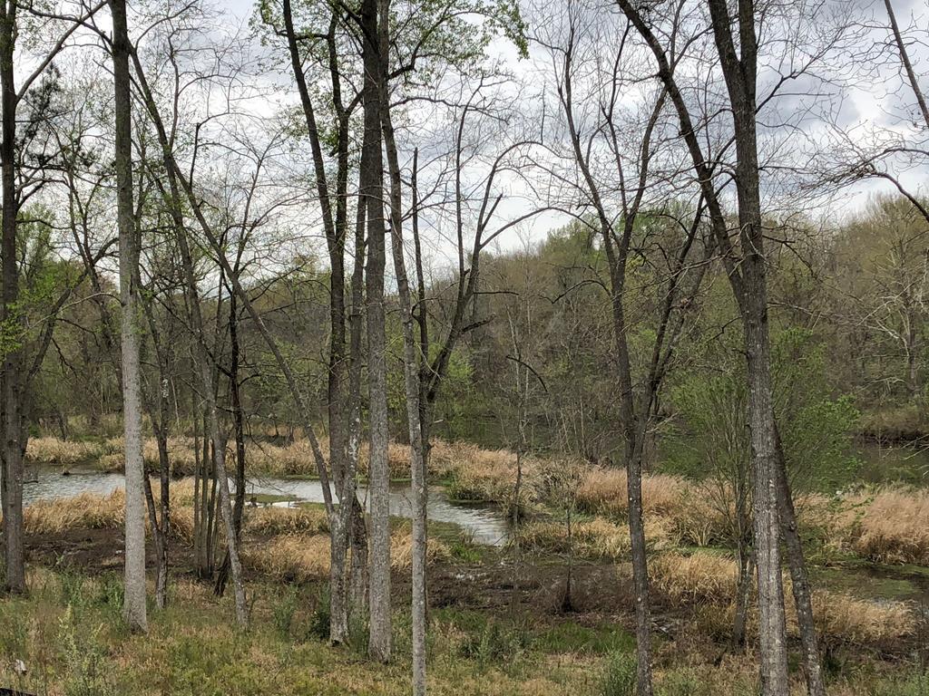 Lot 38 Carillon Way - Photo 1