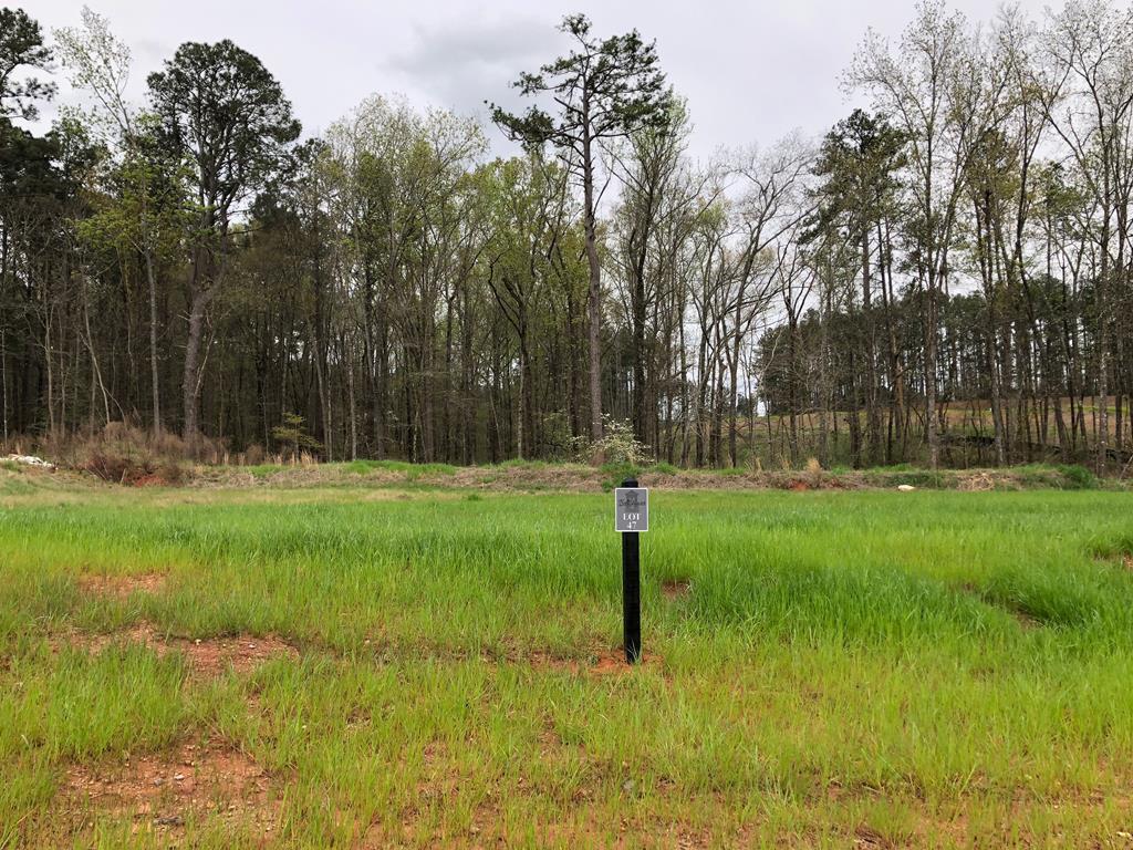 Lot 53 Campana Drive - Photo 1
