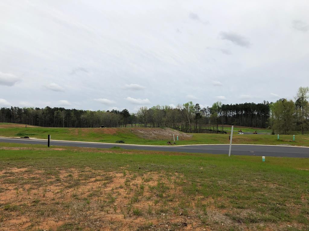 Lot 59 Carillon Way - Photo 1