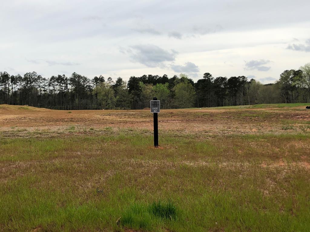 Lot 63 Carillon Way - Photo 1