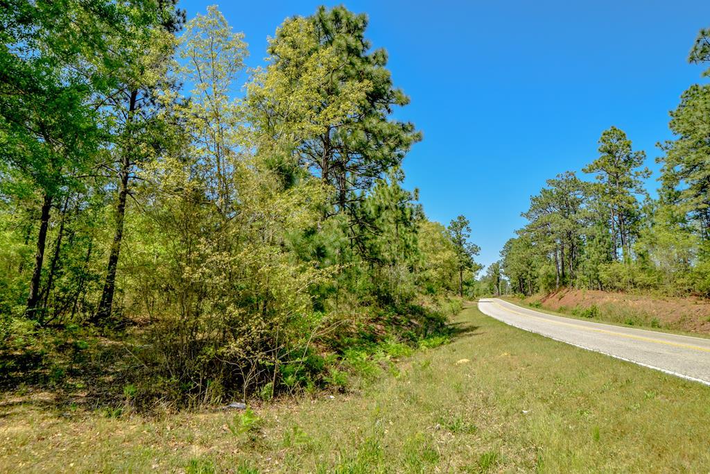 2516 Silver Bluff Road - Photo 1