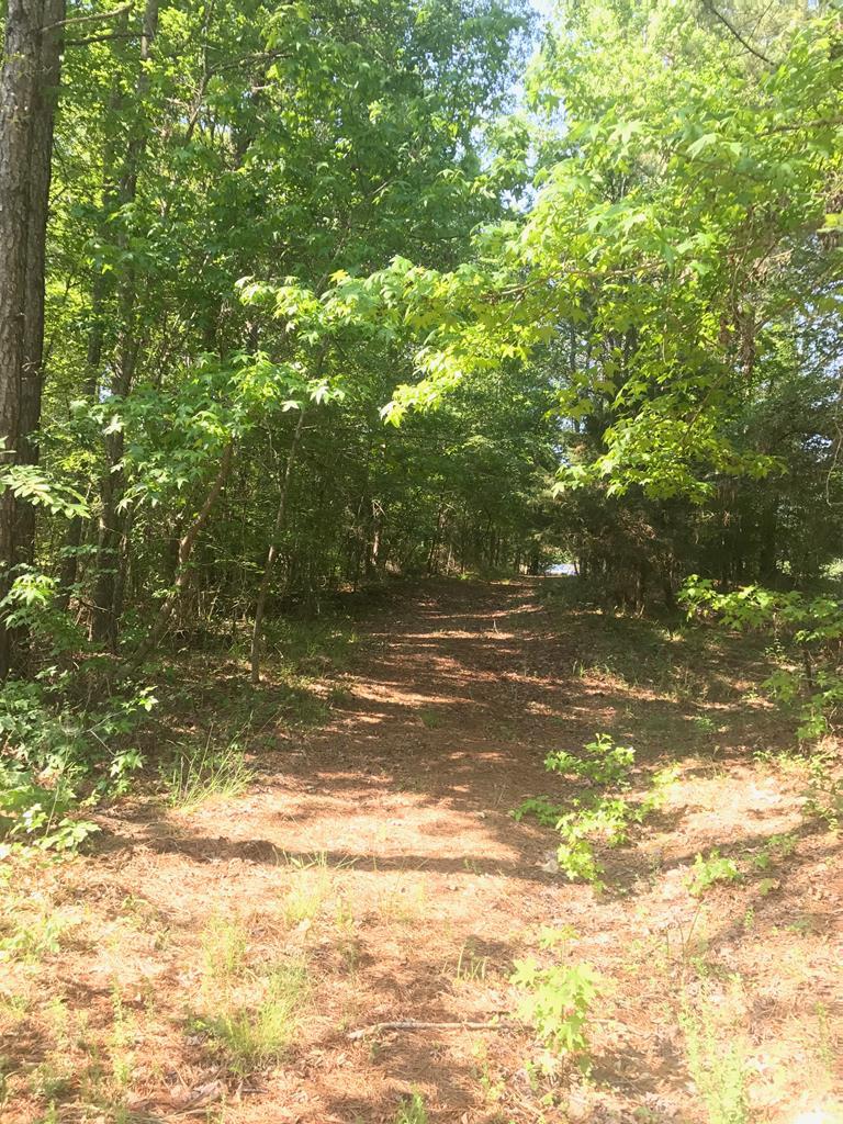 0 Cheves Creek Circle - Photo 1