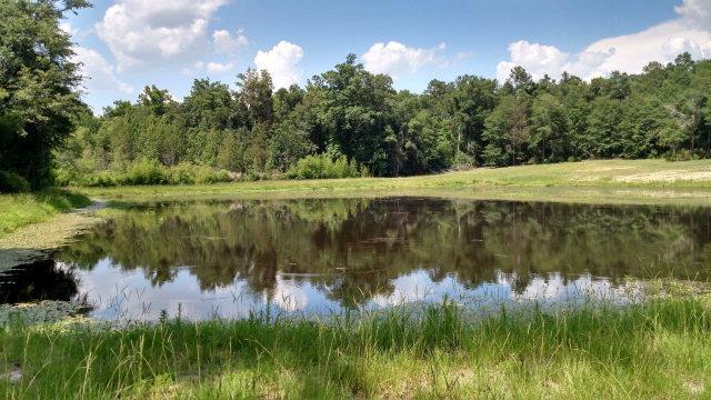 2428 Highway 25 - Photo 1