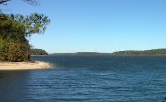 1139 Hesters Ferry Road - Photo 1