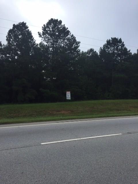 4150 Peach Orchard Road - Photo 1