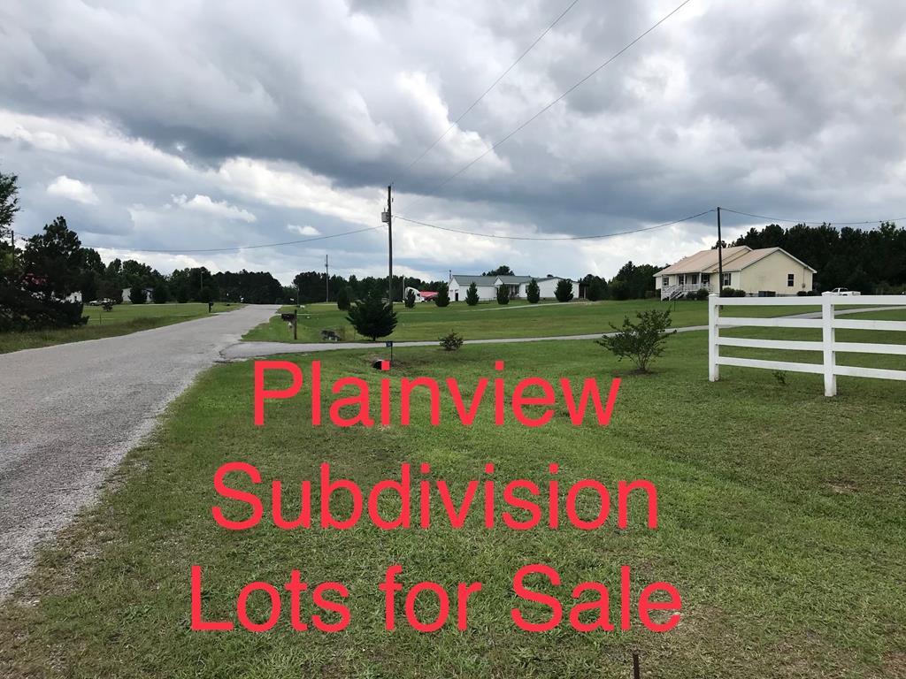 Lot 73 East Plainview Road - Photo 1