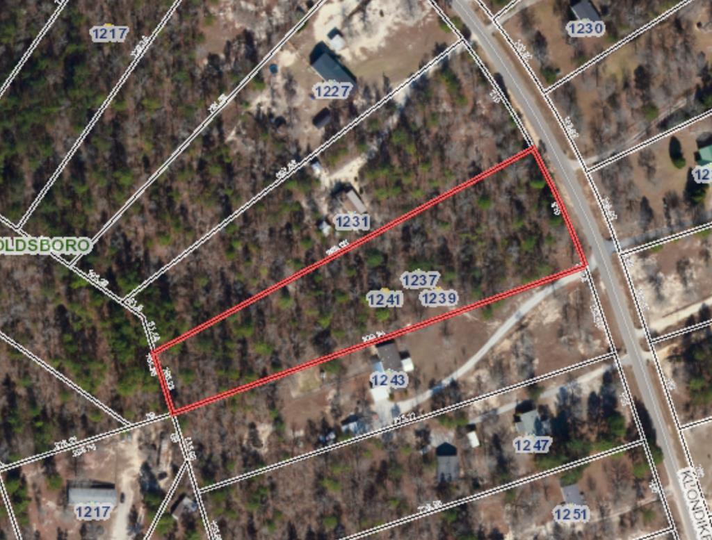 1241 Klondike Drive - Photo 1