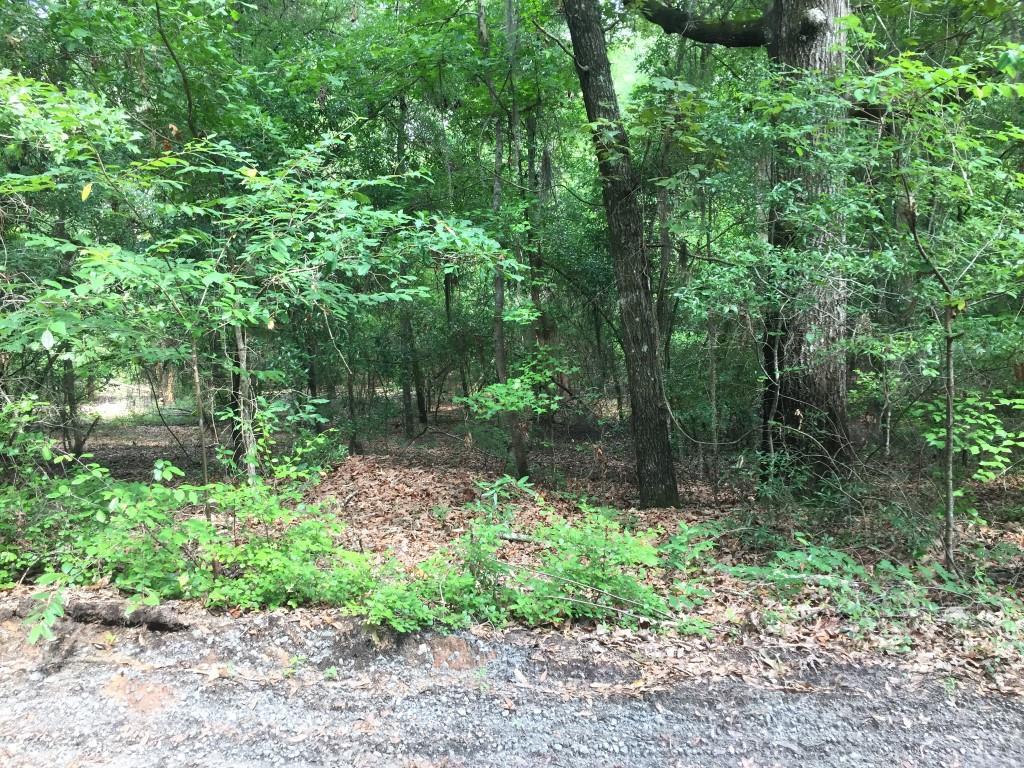 00 Alec Drive - Photo 1