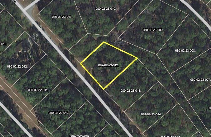 L12 B23 Royal Pine Lane - Photo 1
