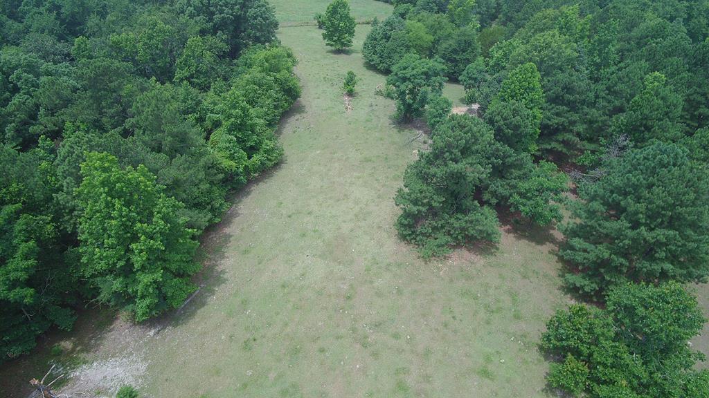 00 Ray Owens Road - Photo 1