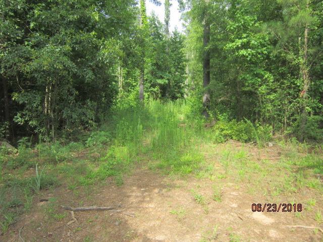 00 Pylant Crossing Road Sw - Photo 1