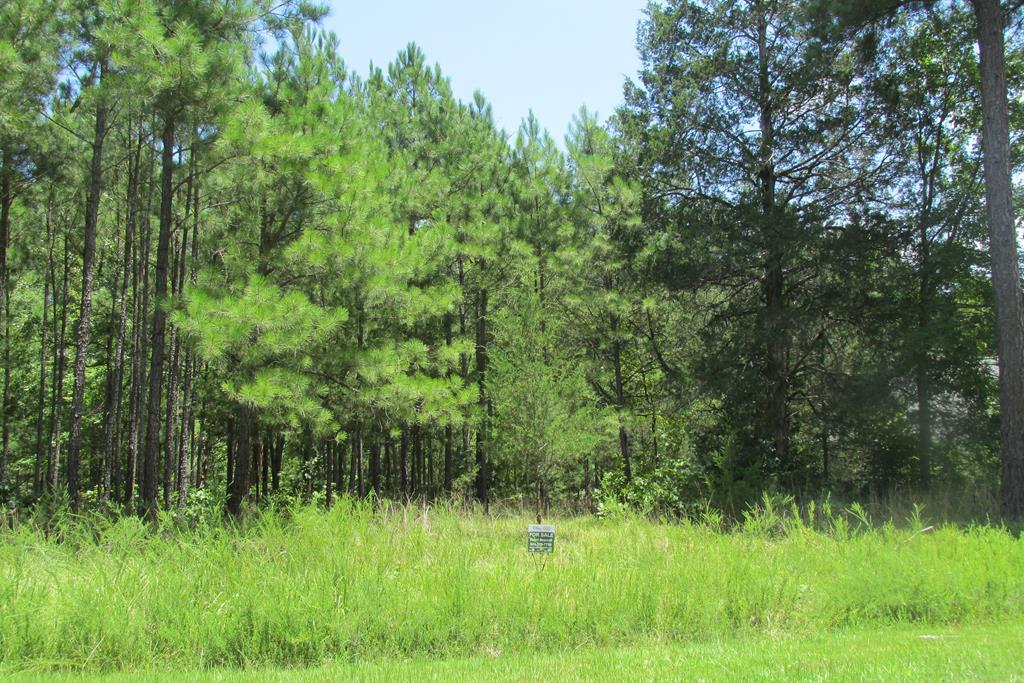 L15 B71 Rapidan Drive - Photo 1