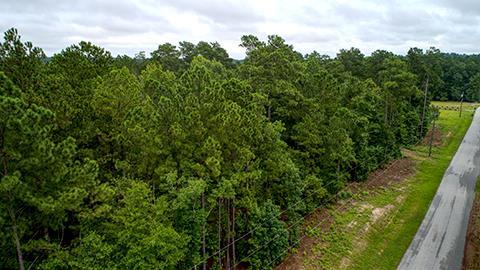 5375 Cemetery Road - Photo 1