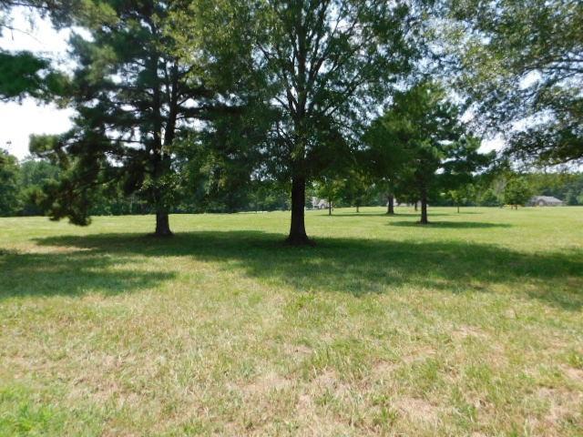 1033 Tanyard Creek Drive - Photo 1