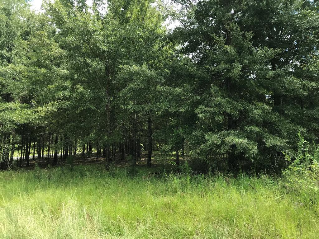 0 Home Tract Road - Photo 1