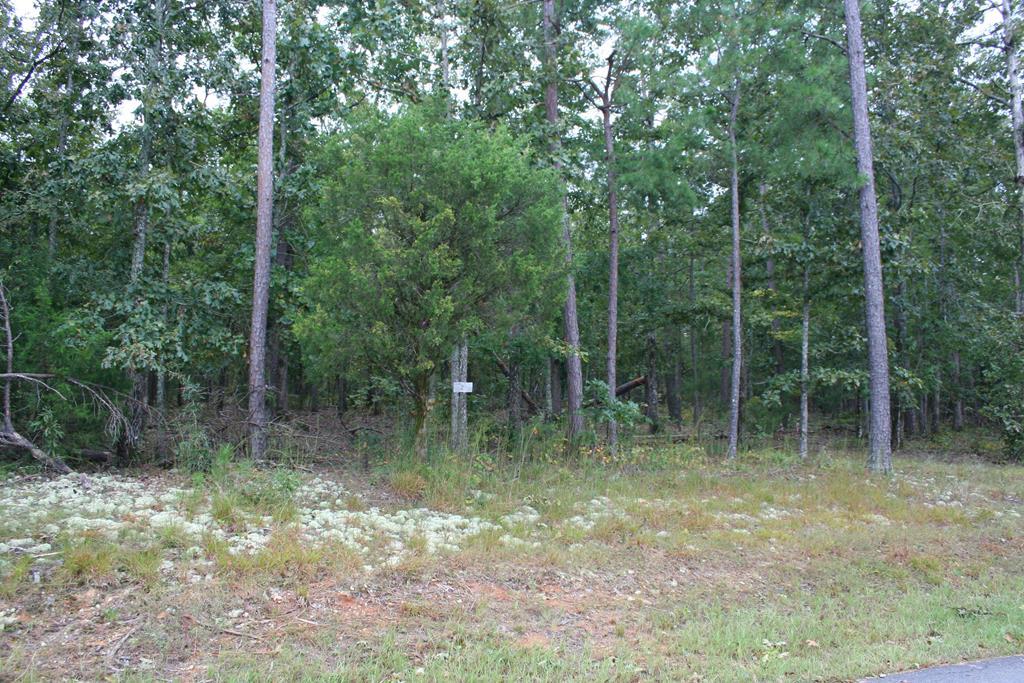 7133 Story Drive - Photo 1