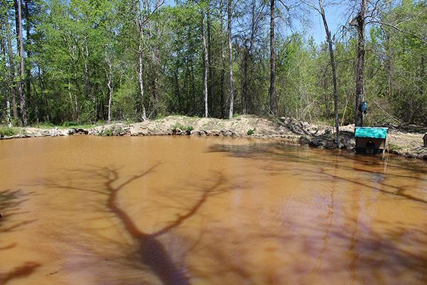 Co Rd 75 Howell Road - Photo 1
