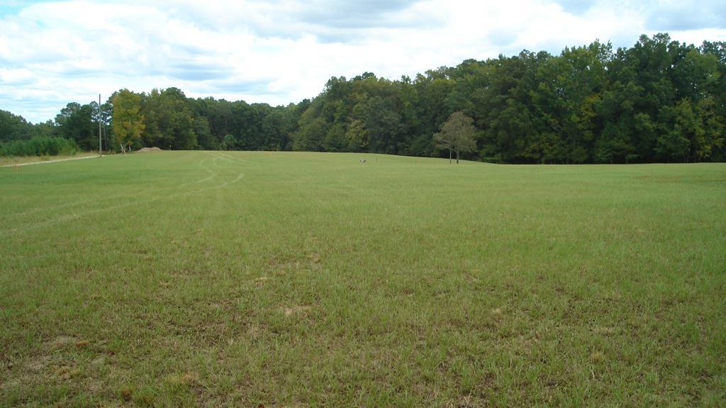 1270 Greenbriar Drive - Photo 1