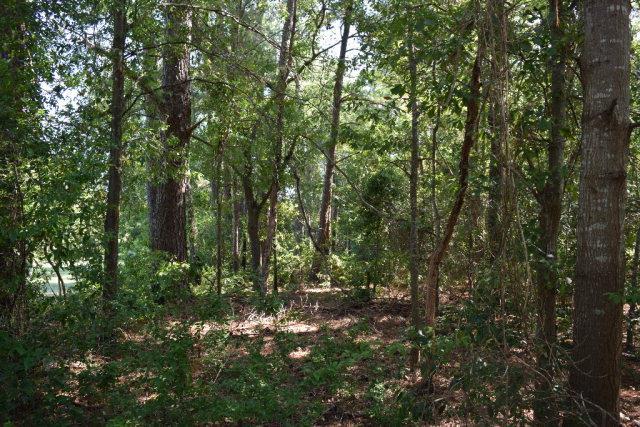 840 Osbon Drive - Photo 1