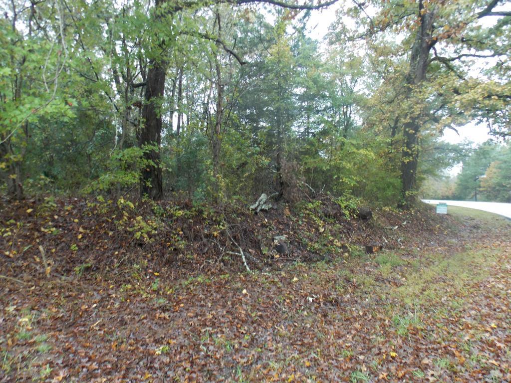 4 Double Branches Road - Photo 1