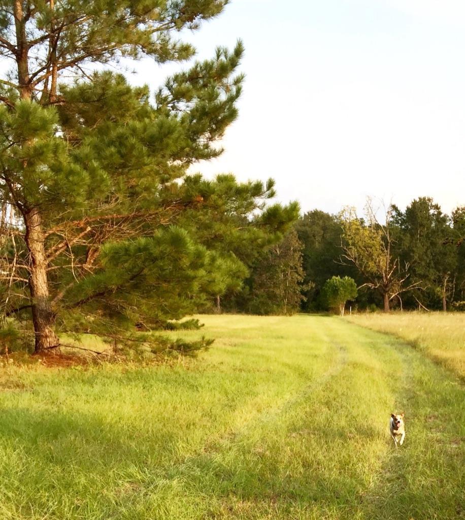 0 Old Tory Trail Road - Photo 1