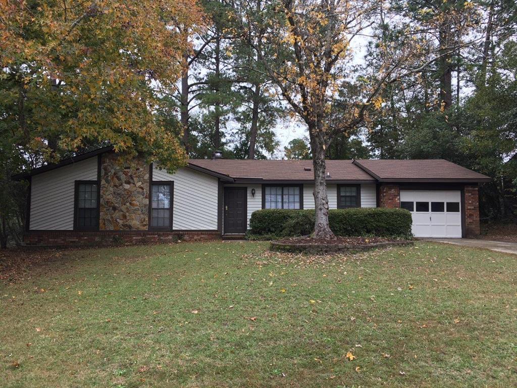 4125 Birchtree Drive - Photo 1
