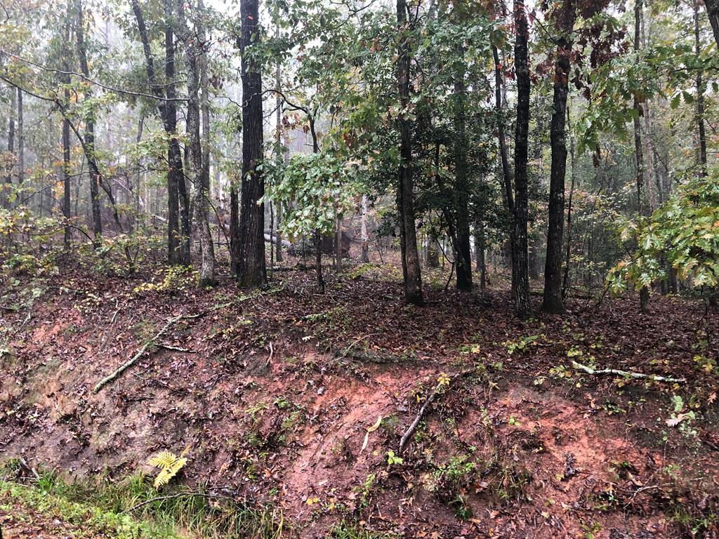 6087 Dogwood Trail - Photo 1