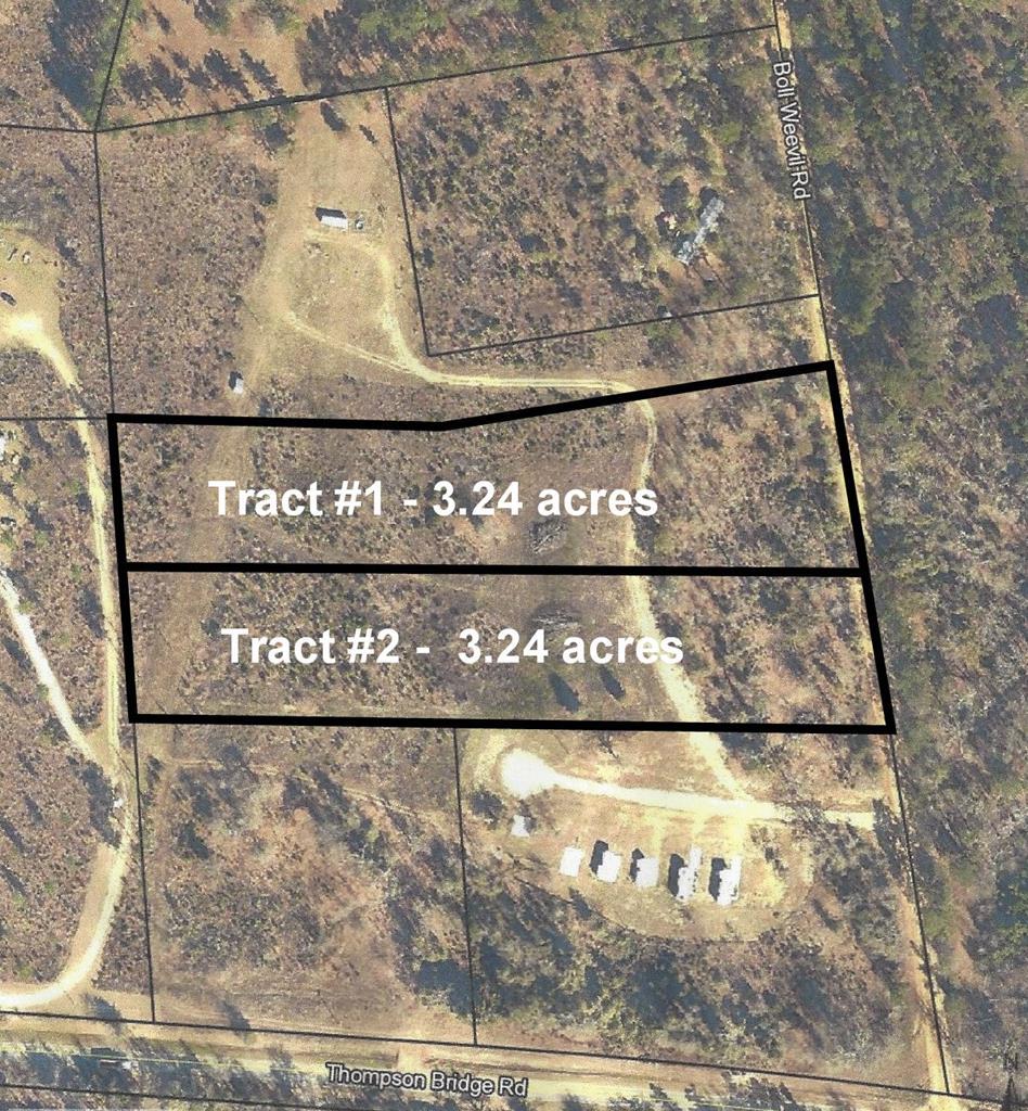 0 Boll Weevil Road - Photo 1