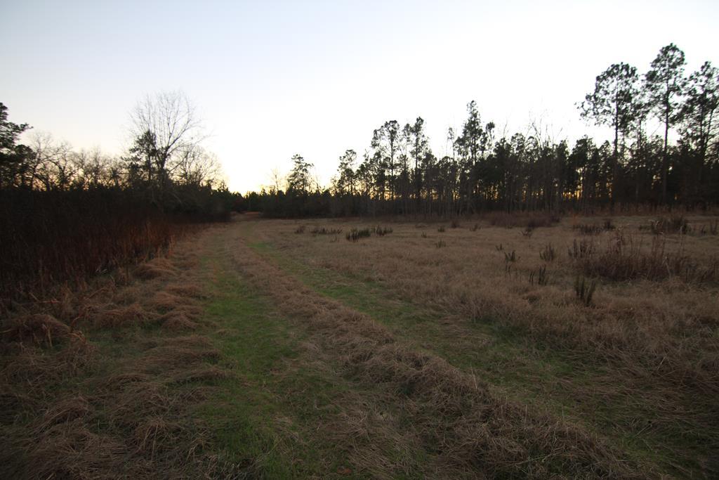 2436 Highway 88 - Photo 1