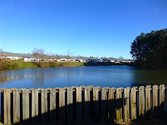 7016 Reagan Circle - Photo 1