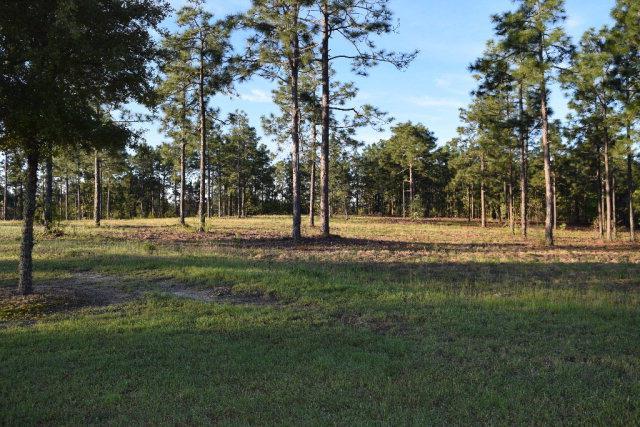 LOT 5 Woods End Way - Photo 1