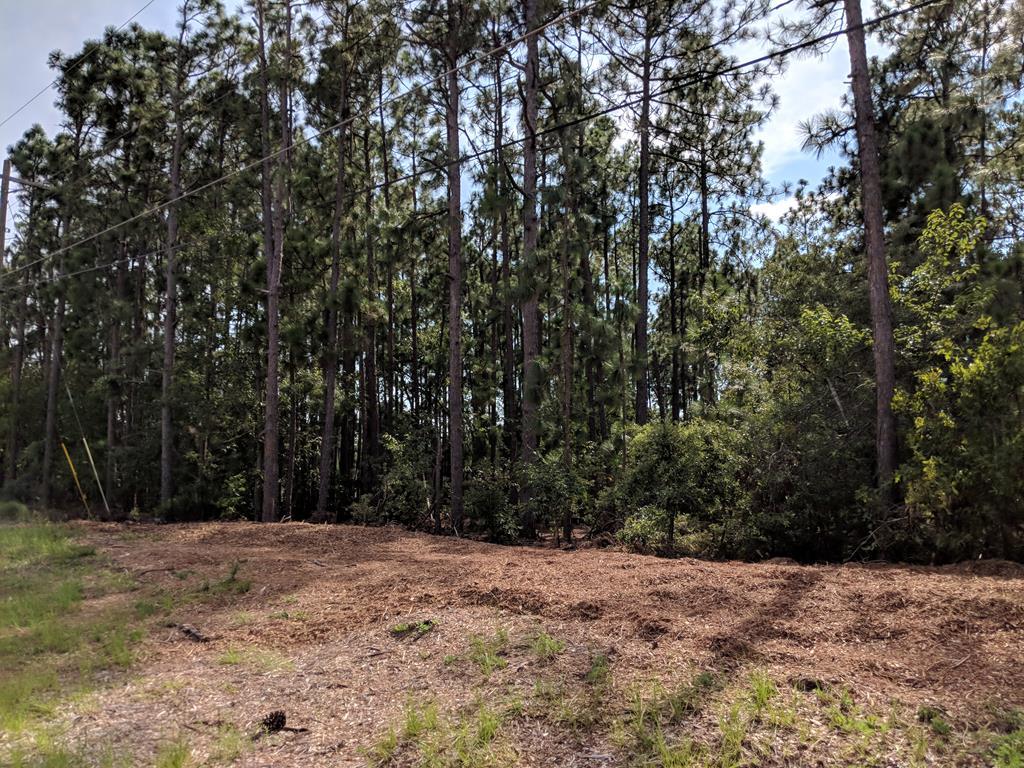 4127 Daisy Lane - Photo 1