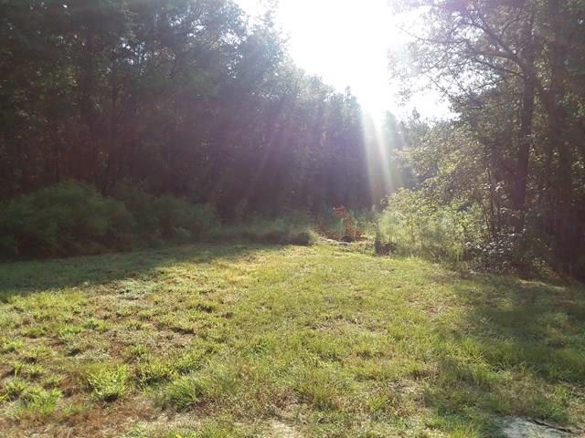 000 Brower Lane - Photo 1