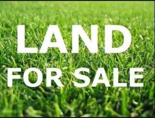 Lot 27 William Avenue - Photo 1
