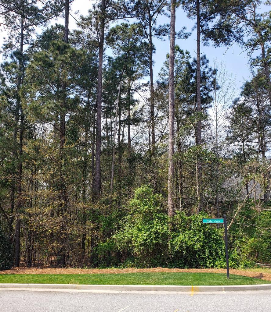 297 Habersham - Photo 1