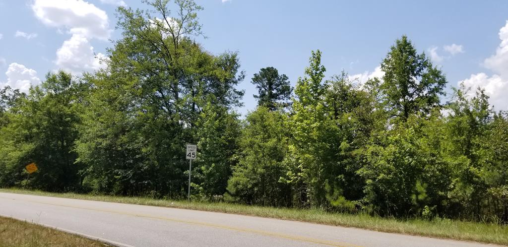 Lot 18 Indian Road - Photo 1