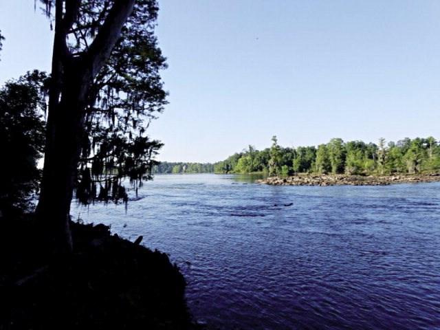 170 Altamaha - Photo 1