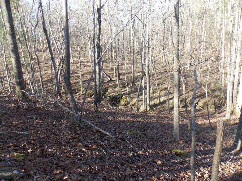 2 Baker Davis Road - Photo 1
