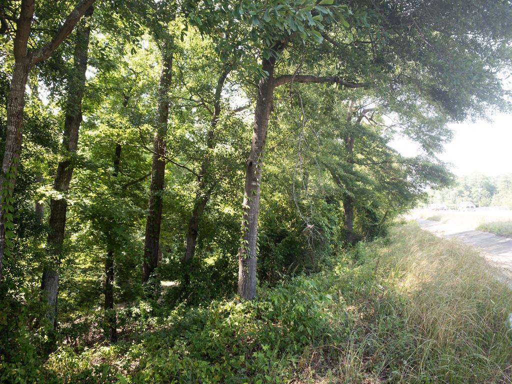 4851 Mike Padgett Hwy - Photo 1