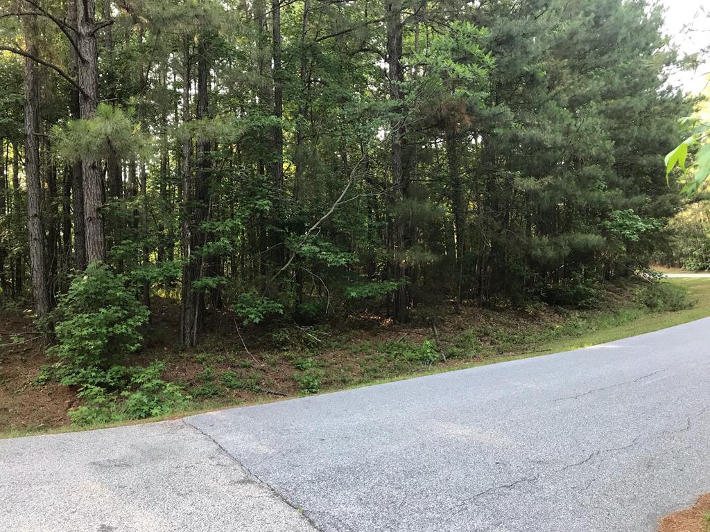 114 Waters Edge Drive - Photo 1