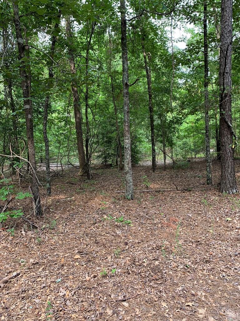 3261 Hwy 102E - Photo 1