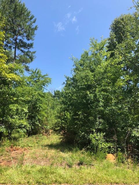 5241 Riverwood Parkway - Photo 1