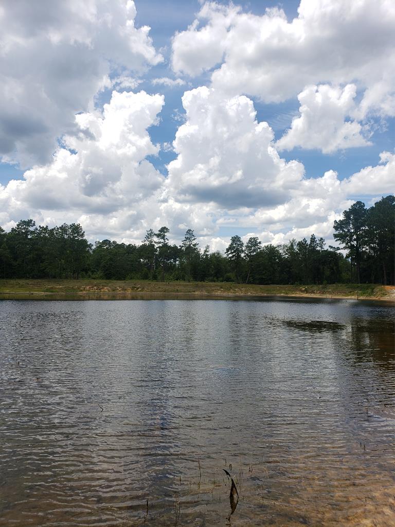 1365 Old Kimbill Trail Road - Photo 1