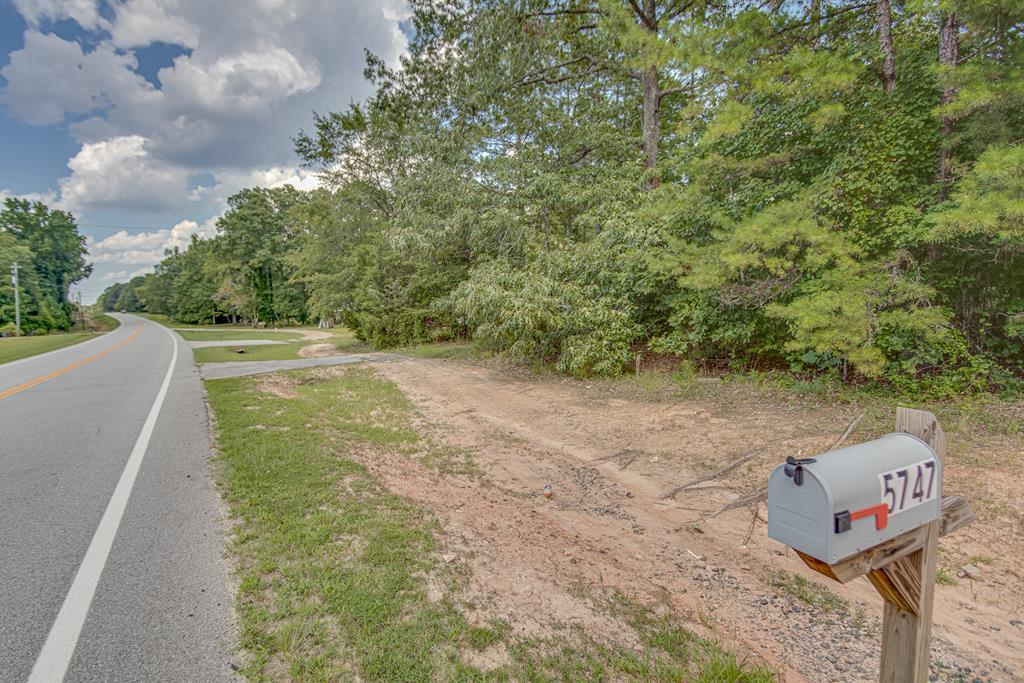 0 Lincolnton Hwy - Photo 1