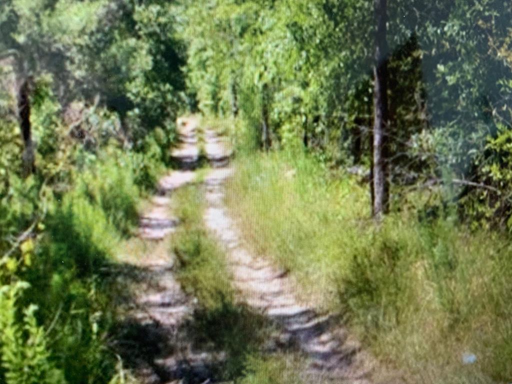 0 Morris Calloway Road - Photo 1