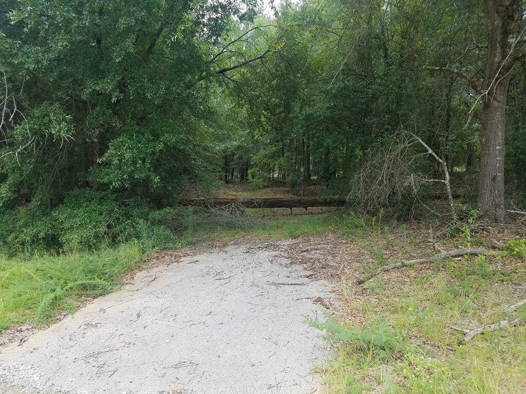 4731 Mccombs Road - Photo 1